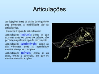 Articulações
As ligações entre os ossos do esqueleto
que permitem a mobilidade são as
articulações.
Existem 3 tipos de articulações:
Articulações imóveis: como os que
existem entre os ossos do crânio; não
permitem qualquer tipo de movimento.
Articulações semimóveis: como as
das vértebras entre si, permitindo
movimentos pouco amplos.
Articulações móveis: como as da
anca, joelho e cotovelo, em que os
movimentos são amplos.
 