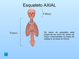 Esqueleto AXIAL
Os ossos do esqueleto axial
situam-se em torno do centro do
corpo; compreendem os ossos da
cabeça e os ossos do tronco.
Tronco
Cabeça
 