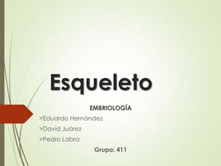 Esqueleto
EMBRIOLOGÍA
>Eduardo Hernández
>David Juárez
>Pedro Labra

Grupo: 411

 
