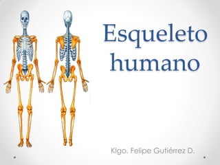 Esqueleto humano 
Klgo. Felipe Gutiérrez D.  