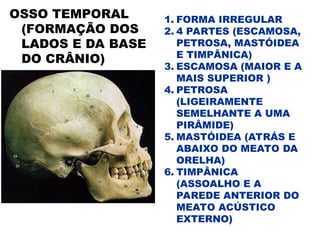 OSSO TEMPORAL
(FORMAÇÃO DOS
LADOS E DA BASE
DO CRÂNIO)
1. FORMA IRREGULAR
2. 4 PARTES (ESCAMOSA,
PETROSA, MASTÓIDEA
E TIMPÂNICA)
3. ESCAMOSA (MAIOR E A
MAIS SUPERIOR )
4. PETROSA
(LIGEIRAMENTE
SEMELHANTE A UMA
PIRÂMIDE)
5. MASTÓIDEA (ATRÁS E
ABAIXO DO MEATO DA
ORELHA)
6. TIMPÂNICA
(ASSOALHO E A
PAREDE ANTERIOR DO
MEATO ACÚSTICO
EXTERNO)
 