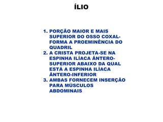 ÍLIO
1. PORÇÃO MAIOR E MAIS
SUPERIOR DO OSSO COXAL-
FORMA A PROEMINÊNCIA DO
QUADRIL
2. A CRISTA PROJETA-SE NA
ESPINHA ILÍACA ÂNTERO-
SUPERIOR ABAIXO DA QUAL
ESTÁ A ESPINHA ILÍACA
ÂNTERO-INFERIOR
3. AMBAS FORNECEM INSERÇÃO
PARA MÚSCULOS
ABDOMINAIS
 