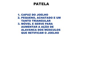 PATELA
1. CAPUZ DO JOELHO
2. PEQUENO, ACHATADO E UM
TANTO TRIANGULAR
3. MÓVEL E SERVE PARA
AUMENTAR A AÇÃO DE
ALAVANCA DOS MÚSCULOS
QUE RETIFICAM O JOELHO
 