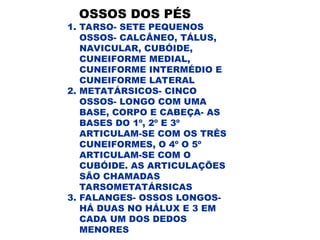 OSSOS DOS PÉS
1. TARSO- SETE PEQUENOS
OSSOS- CALCÂNEO, TÁLUS,
NAVICULAR, CUBÓIDE,
CUNEIFORME MEDIAL,
CUNEIFORME INTERMÉDIO E
CUNEIFORME LATERAL
2. METATÁRSICOS- CINCO
OSSOS- LONGO COM UMA
BASE, CORPO E CABEÇA- AS
BASES DO 1º, 2º E 3º
ARTICULAM-SE COM OS TRÊS
CUNEIFORMES, O 4º O 5º
ARTICULAM-SE COM O
CUBÓIDE. AS ARTICULAÇÕES
SÃO CHAMADAS
TARSOMETATÁRSICAS
3. FALANGES- OSSOS LONGOS-
HÁ DUAS NO HÁLUX E 3 EM
CADA UM DOS DEDOS
MENORES
 