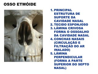 OSSO ETMÓIDE
1. PRINCIPAL
ESTRUTURA DE
SUPORTE DA
CAVIDADE NASAL
2. TECIDO ESPONJOSO
3. LÂMINA CRIVOSA
FORMA O OSSOALHO
DA CAVIDADE NASAL
4. CONCHAS NASAIS
(CIRCULAÇÃO E
FILTRAÇÃO DO AR
INALADO)
5. LÂMINA
PERPENDICULAR
(FORMA A PARTE
SUPERIOR DO SEPTO
NASAL)
 