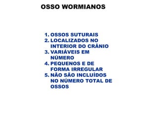 OSSO WORMIANOS
1. OSSOS SUTURAIS
2. LOCALIZADOS NO
INTERIOR DO CRÂNIO
3. VARIÁVEIS EM
NÚMERO
4. PEQUENOS E DE
FORMA IRREGULAR
5. NÃO SÃO INCLUÍDOS
NO NÚMERO TOTAL DE
OSSOS
 
