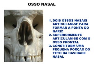 OSSO NASAL
1. DOIS OSSOS NASAIS
ARTICULAM-SE PARA
FORMAR A PONTA DO
NARIZ
2. SUPERIORMENTE
ARTICULAM-SE COM O
OSSO FRONTAL
3. CONSTITUEM UMA
PEQUENA PORÇÃO DO
TETO DA CAVIDADE
NASAL
 
