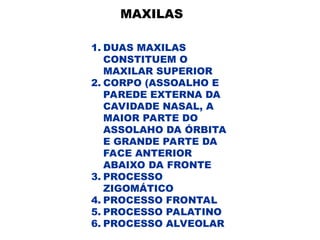 MAXILAS
1. DUAS MAXILAS
CONSTITUEM O
MAXILAR SUPERIOR
2. CORPO (ASSOALHO E
PAREDE EXTERNA DA
CAVIDADE NASAL, A
MAIOR PARTE DO
ASSOLAHO DA ÓRBITA
E GRANDE PARTE DA
FACE ANTERIOR
ABAIXO DA FRONTE
3. PROCESSO
ZIGOMÁTICO
4. PROCESSO FRONTAL
5. PROCESSO PALATINO
6. PROCESSO ALVEOLAR
 