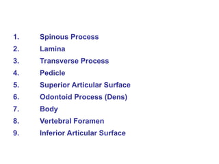 1. Spinous Process
2. Lamina
3. Transverse Process
4. Pedicle
5. Superior Articular Surface
6. Odontoid Process (Dens)
7. Body
8. Vertebral Foramen
9. Inferior Articular Surface
 