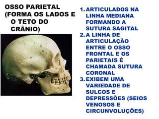 1.ARTICULADOS NA
LINHA MEDIANA
FORMANDO A
SUTURA SAGITAL
2.A LINHA DE
ARTICULAÇÃO
ENTRE O OSSO
FRONTAL E OS
PARIETAIS É
CHAMADA SUTURA
CORONAL
3.EXIBEM UMA
VARIEDADE DE
SULCOS E
DEPRESSÕES (SEIOS
VENOSOS E
CIRCUNVOLUÇÕES)
OSSO PARIETAL
(FORMA OS LADOS E
O TETO DO
CRÂNIO)
 