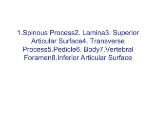 1.Spinous Process2. Lamina3. Superior
Articular Surface4. Transverse
Process5.Pedicle6. Body7.Vertebral
Foramen8.Inferior Articular Surface
 