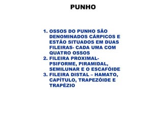 PUNHO
1. OSSOS DO PUNHO SÃO
DENOMINADOS CÁRPICOS E
ESTÃO SITUADOS EM DUAS
FILEIRAS- CADA UMA COM
QUATRO OSSOS
2. FILEIRA PROXIMAL-
PSIFORME, PIRAMIDAL,
SEMILUNAR E O ESCAFÓIDE
3. FILEIRA DISTAL – HAMATO,
CAPÍTULO, TRAPEZÓIDE E
TRAPÉZIO
 