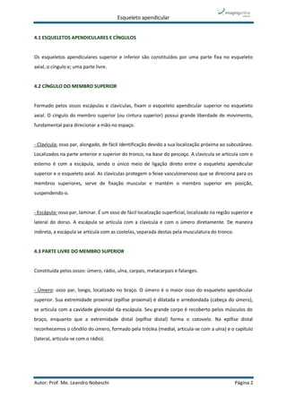 Esqueleto apendicular
Autor: Prof. Me. Leandro Nobeschi Página 2
4.1 ESQUELETOS APENDICULARES E CÍNGULOS
Os esqueletos apendiculares superior e inferior são constituídos por uma parte fixa no esqueleto
axial, o cíngulo e; uma parte livre.
4.2 CÍNGULO DO MEMBRO SUPERIOR
Formado pelos ossos escápulas e clavículas, fixam o esqueleto apendicular superior no esqueleto
axial. O cíngulo do membro superior (ou cintura superior) possui grande liberdade de movimento,
fundamental para direcionar a mão no espaço.
- Clavícula: osso par, alongado, de fácil identificação devido a sua localização próxima ao subcutâneo.
Localizados na parte anterior e superior do tronco, na base do pescoço. A clavícula se articula com o
esterno é com a escápula, sendo o único meio de ligação direto entre o esqueleto apendicular
superior e o esqueleto axial. As clavículas protegem o feixe vasculonervoso que se direciona para os
membros superiores, serve de fixação muscular e mantém o membro superior em posição,
suspendendo-o.
- Escápula: osso par, laminar. É um osso de fácil localização superficial, localizado na região superior e
lateral do dorso. A escápula se articula com a clavícula e com o úmero diretamente. De maneira
indireta, a escápula se articula com as costelas, separada destas pela musculatura do tronco.
4.3 PARTE LIVRE DO MEMBRO SUPERIOR
Constituída pelos ossos: úmero, rádio, ulna, carpais, metacarpais e falanges.
- Úmero: osso par, longo, localizado no braço. O úmero é o maior osso do esqueleto apendicular
superior. Sua extremidade proximal (epífise proximal) é dilatada e arredondada (cabeça do úmero),
se articula com a cavidade glenoidal da escápula. Seu grande corpo é recoberto pelos músculos do
braço, enquanto que a extremidade distal (epífise distal) forma o cotovelo. Na epífise distal
reconhecemos o côndilo do úmero, formado pela tróclea (medial, articula-se com a ulna) e o capítulo
(lateral, articula-se com o rádio).
 