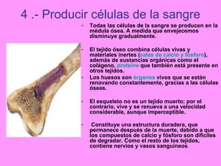 Esqueleto Articulaciones Y Huesos Ppt