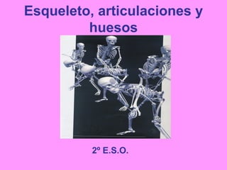 Esqueleto, articulaciones y huesos 2º E.S.O.   