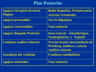 Formane Rasgado Esqueleto del-craneo-2 | PDF