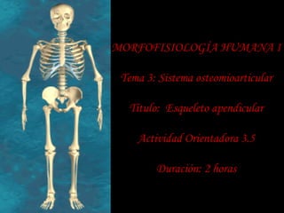 MORFOFISIOLOGÍA HUMANA I
Tema 3: Sistema osteomioarticular
Título: Esqueleto apendicular
Actividad Orientadora 3.5
Duración: 2 horas
 
