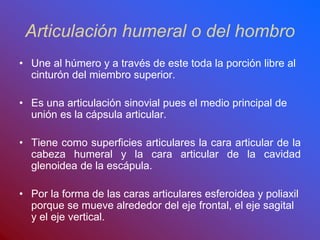Articulación humeral o del hombro
• Une al húmero y a través de este toda la porción libre al
cinturón del miembro superior.
• Es una articulación sinovial pues el medio principal de
unión es la cápsula articular.
• Tiene como superficies articulares la cara articular de la
cabeza humeral y la cara articular de la cavidad
glenoidea de la escápula.
• Por la forma de las caras articulares esferoidea y poliaxil
porque se mueve alrededor del eje frontal, el eje sagital
y el eje vertical.
 