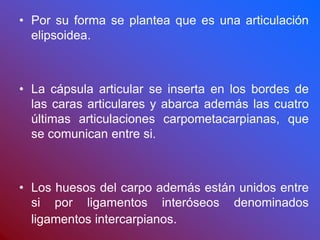 • Por su forma se plantea que es una articulación
elipsoidea.
• La cápsula articular se inserta en los bordes de
las caras articulares y abarca además las cuatro
últimas articulaciones carpometacarpianas, que
se comunican entre si.
• Los huesos del carpo además están unidos entre
si por ligamentos interóseos denominados
ligamentos intercarpianos.
 