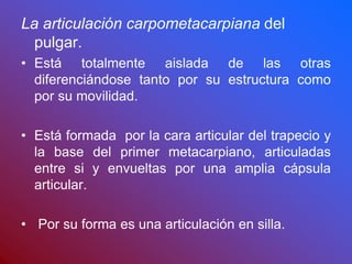 La articulación carpometacarpiana del
pulgar.
• Está totalmente aislada de las otras
diferenciándose tanto por su estructura como
por su movilidad.
• Está formada por la cara articular del trapecio y
la base del primer metacarpiano, articuladas
entre si y envueltas por una amplia cápsula
articular.
• Por su forma es una articulación en silla.
 