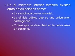 • En el miembro inferior también existen
otras articulaciones como:
• La sacroilíaca que es sinovial.
• La sínfisis púbica que es una articulación
cartilaginosa.
• Y otras que se describen en la pelvis ósea
en conjunto.
 