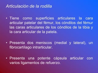 Articulación de la rodilla
• Tiene como superficies articulares la cara
articular patelar del fémur, los cóndilos del fémur
las caras articulares de los cóndilos de la tibia y
la cara articular de la patela.
• Presenta dos meniscos (medial y lateral), un
fibrocartílago intrarticular.
• Presenta una potente cápsula articular con
varios ligamentos de refuerzo.
 
