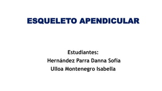ESQUELETO APENDICULAR
Estudiantes:
Hernández Parra Danna Sofía
Ulloa Montenegro Isabella
 