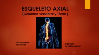 ESQUELETO AXIAL
(Columna vertebral y Tórax )
DOCENTE:
Dr. William Ríos C.
2do Quimestre
1er Parcial
 