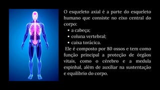 Sentido Axial Esqueleto Axial, sistema esqueletico, subdivisão | PDF