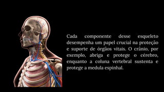 Esqueleto Axial, sistema esqueletico, subdivisão | PDF