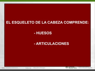 EL ESQUELETO DE LA CABEZA COMPRENDE:				- HUESOS				- ARTICULACIONESAnatomía Veterinaria.Marcelino Bengoa