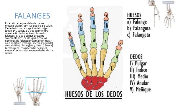 La eccema el tratamiento los foros