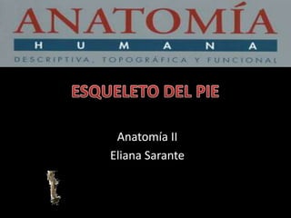 Anatomía II
Eliana Sarante

 