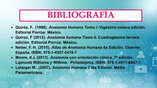  Quiróz, F. (1988). Anatomía Humana Tomo I. Vigésimo octava edición.
Editorial Porrúa: México.
 Quiroz, F (2012). Anatomía humana Tomo II. Cuadragésima tercera
edición. Editorial Porrúa: México.
 Netter, F. H. (2015). Atlas de Anatomía Humana 6a Edición. Elsevier,
España. ISBN: 978-1-4557-0418-7
 Moore, K.L (2013). Anatomía con orientación clínica, 7ª edición.
Lipincott Williams y Wilkins, Philadelphia. ISBN: 978-1-4511-8447-1.
 Latarget M.. (2007). Anatomia Humana 2 4ta Edicion. Media
Panamericana.
BIBLIOGRAFÍA
 