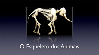 O Esqueleto dos Animais
 