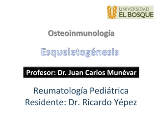 Osteoinmunología



Profesor: Dr. Juan Carlos Munévar

  Reumatología Pediátrica
Residente: Dr. Ricardo Yépez
 