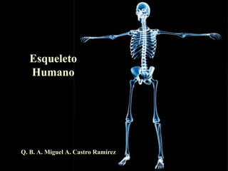 Esqueleto
  Humano




Q. B. A. Miguel A. Castro Ramírez
 