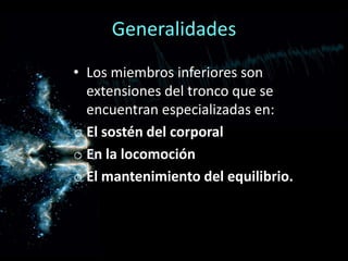 • Los miembros inferiores son
extensiones del tronco que se
encuentran especializadas en:
o El sostén del corporal
o En la locomoción
o El mantenimiento del equilibrio.
Generalidades
 