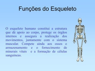 Funções do Esqueleto


O esqueleto humano constitui a estrutura
que dá apoio ao corpo, protege os órgãos
internos e assegura a realização dos
movimentos, juntamente com o sistema
muscular. Compete ainda aos ossos o
armazenamento e o fornecimento de
minerais vitais e a formação de células
sanguíneas.
 