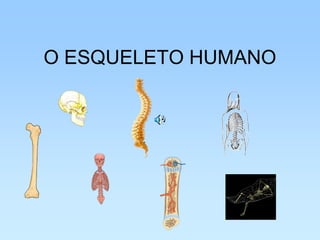 Esqueleto humano (powerpoint).edit