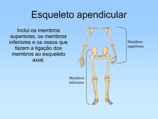 Esqueleto apendicular
    Inclui os membros
 superiores, os membros
inferiores e os ossos que                Membros
                                         superiores
   fazem a ligação dos
  membros ao esqueleto
            axial.


                            Membros
                            inferiores
 
