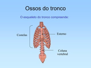 Ossos do tronco
  O esqueleto do tronco compreende:




Costelas                   Esterno




                            Coluna
                           vertebral
 