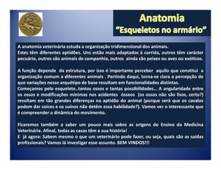 A anatomia veterinária estuda a organização tridimensional dos animais.
Estes têm diferentes aptidões. Uns estão mais adaptados à corrida, outros têm carácter
pecuário, outros são animais de companhia, outros ainda são peixes ou aves ou exóticos.

A função depende da estrutura, por isso é importante perceber aquilo que constitui a
organização comum a diferentes animais . Partindo daqui, torna-se clara a percepção de
que variações nesse arquétipo de base resultam em funcionalidades distintas.
Começamos pelo esqueleto..tantos ossos e tantas possibilidades… A angularidade entre
os ossos e modificações mínimas nos acidentes ósseos (os ossos não são lisos, certo?)
resultam em tão grandes diferenças na aptidão do animal (porque será que os cavalos
podem dar coices e os suínos não detêm essa habilidade?). Vamos ver o interessante que
é compreender a dinâmica do movimento.

Ficaremos também a saber um pouco mais sobre as origens do Ensino da Medicina
Veterinária. Afinal, todas as casas têm a sua história!
E já agora: Sabem mesmo o que um veterinário pode fazer, ou seja, quais são as saídas
profissionais? Vamos lá investigar esse assunto. BEM VINDOS!!!
 