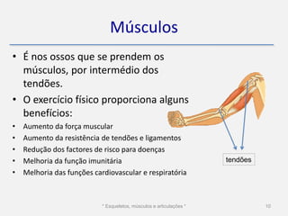 Músculos
• É nos ossos que se prendem os
  músculos, por intermédio dos
  tendões.
• O exercício físico proporciona alguns
  benefícios:
•   Aumento da força muscular
•   Aumento da resistência de tendões e ligamentos
•   Redução dos factores de risco para doenças
•   Melhoria da função imunitária                                     tendões
•   Melhoria das funções cardiovascular e respiratória



                            * Esqueletos, músculos e articulações *             10
 