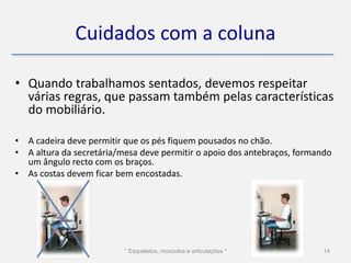 Cuidados com a coluna

• Quando trabalhamos sentados, devemos respeitar
  várias regras, que passam também pelas características
  do mobiliário.

• A cadeira deve permitir que os pés fiquem pousados no chão.
• A altura da secretária/mesa deve permitir o apoio dos antebraços, formando
  um ângulo recto com os braços.
• As costas devem ficar bem encostadas.




                          * Esqueletos, músculos e articulações *         14
 