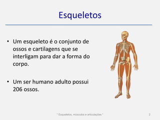 Esqueletos

• Um esqueleto é o conjunto de
  ossos e cartilagens que se
  interligam para dar a forma do
  corpo.

• Um ser humano adulto possui
  206 ossos.


                   * Esqueletos, músculos e articulações *   2
 