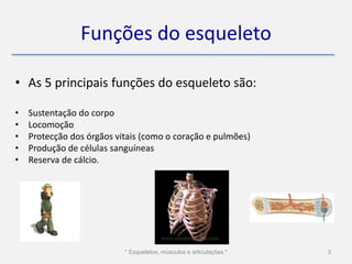 Funções do esqueleto

• As 5 principais funções do esqueleto são:

•   Sustentação do corpo
•   Locomoção
•   Protecção dos órgãos vitais (como o coração e pulmões)
•   Produção de células sanguíneas
•   Reserva de cálcio.




                           * Esqueletos, músculos e articulações *   3
 