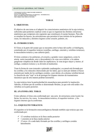ANATOMIA GENERAL DE TORAX
UNIVERSIDAD NACIONAL JORGE BASADRE GROHMANN
FACULTAD DE CIENCIAS
ESCUELA ACADEMICO PROFESIONAL DE BIOLOGIA – MICROBIOLOGIA
TEMA: ANATOMIA TORACICA (ESQUELETO)
POR: ENRIQUE JOSE CHIPANA TELLERIA


                                                  TORAX

I.- OBJETIVOS:

El objetivo de este tema es el adquirir los conocimientos anatómicos de la caja torácica,
suficientes para podernos explicar como es que se organizan las distintas estructuras
anatómicas que componen este segmento que constituyen el cuerpo humano. Para ello
se estudian los huesos, las articulaciones que permiten el movimiento de las palancas
oseas, los músculos y distintos órganos como corazón, pulmón, etc.

II.- INTRODUCCION:

El Tórax es la parte del cuerpo que se encuentra entre la base del cuello y el diafragma,
constituido por el esqueleto torácico (costillas, cartílago, esternón y vertebras torácicas),
la musculatura torácica y una cubierta (piel).

El tórax contiene a los pulmones, al corazón, a grandes vasos sanguíneos, como la
arteria aorta (ascendente, arco y descendente) a la vena cava inferior, a la cadena
ganglionar simpática de donde salen los asplácnicos, la vena ácigos mayor y menor, al
esófago, conducto torácico y su división al mediastino.

Tiene la forma de cono truncado o pirámide cuadrangular y su pared está formada por
las costillas y los músculos intercostales por los lados, que se unen por delante al hueso
esternón por medio de los cartílagos costales, y por detrás a la columna vertebral dorsal.
La función de esta quot;cajaquot; es la de proteger los órganos internos de traumatismos
mecánicos que de otra manera podrían lesionarlos.

La caja torácica tiene la particularidad de ensancharse para permitir la inspiración.
Además, el último par de costillas es denominado flotante, ya que solo está unido a las
vértebras en la parte posterior.

III. ANATOMIA DEL TORAX

Como sabemos el tórax esta conformado por una serie de estructuras como la piel, las
facias, los nervios, los vasos, la musculatura torácica, el esqueleto toráxico y los
órganos internos que la conforman.

3.1.- ESQUELETO TORACICO:

El esqueleto es la formación osteocartilaginosa llamada también caja torácica que esta
conformada por:

      12 vertebras torácicas en la línea media posterior
      1 esternón en la línea media anterior
      12 arcos (6 a cada lado) formado por las costillas y cartílagos costales
       lateralmente.


                                                       1
 