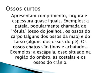 Apresentam comprimento, largura e
espessura quase iguais. Exemplos: a
patela, popularmente chamada de
“rótula” (osso do joelho)., os ossos do
carpo (alguns dos ossos da mão) e do
tarso (alguns dos ossos do pé). Os
ossos chatos são finos e achatados.
Exemplos: a escápula, osso situado na
região do ombro, as costelas e os
ossos do crânio.
 