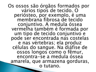 Os ossos são órgãos formados por
vários tipos de tecido. O
periósteo, por exemplo, é uma
membrana fibrosa de tecido
conjuntivo. A medula óssea
vermelha também é formada por
um tipo de tecido conjuntivo e
pode ser encontrada nas costelas
e nas vértebras; ela produz
células do sangue. Na diáfise de
ossos longos como o fêmur,
encontra-se a medula óssea
amarela, que armazena gorduras,
o tutano.
 